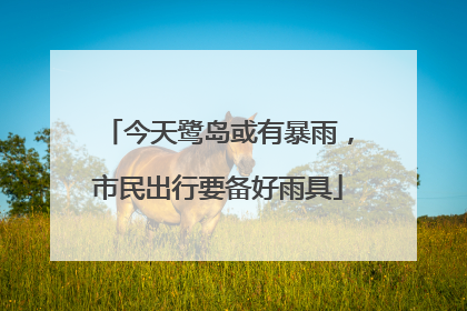 今天鹭岛或有暴雨，市民出行要备好雨具