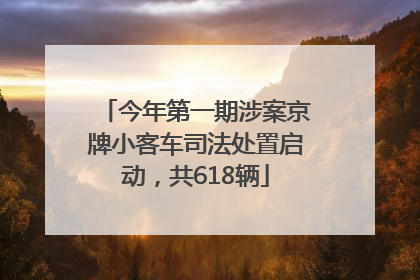今年第一期涉案京牌小客车司法处置启动，共618辆