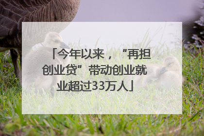 今年以来，“再担创业贷”带动创业就业超过33万人