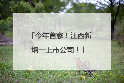 今年首家！江西新增一上市公司！