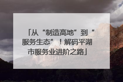 从“制造高地”到“服务生态”！解码平湖市服务业进阶之路