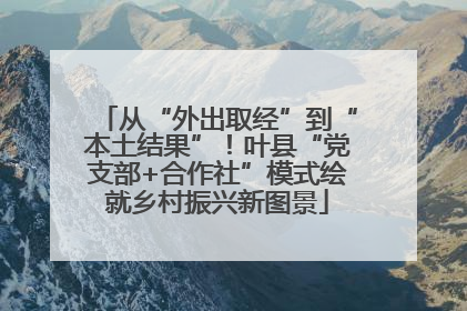 从“外出取经”到“本土结果”！叶县“党支部+合作社”模式绘就乡村振兴新图景