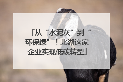从“水泥灰”到“环保绿”！北湖这家企业实现低碳转型