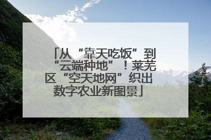 从“靠天吃饭”到“云端种地”！莱芜区“空天地网”织出数字农业新图景