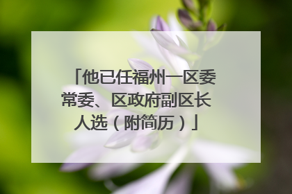 他已任福州一区委常委、区政府副区长人选（附简历）