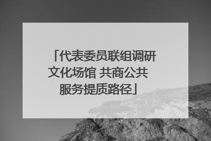 代表委员联组调研文化场馆 共商公共服务提质路径