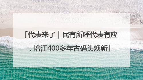 代表来了｜民有所呼代表有应，增江400多年古码头焕新