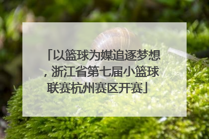 以篮球为媒追逐梦想，浙江省第七届小篮球联赛杭州赛区开赛