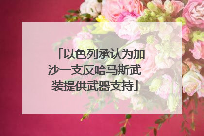以色列承认为加沙一支反哈马斯武装提供武器支持