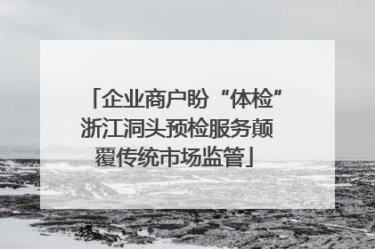 企业商户盼“体检” 浙江洞头预检服务颠覆传统市场监管