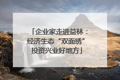 企业家走进益林：经济生态“双面绣” 投资兴业好地方