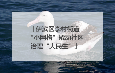 伊滨区李村街道 “小网格”撬动社区治理“大民生”