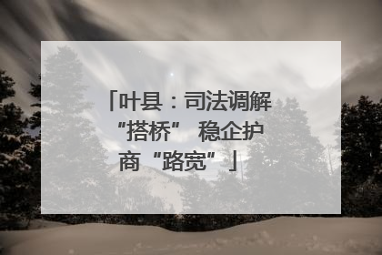 叶县：司法调解“搭桥” 稳企护商“路宽”