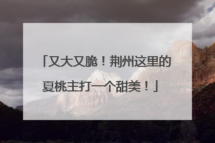 又大又脆！荆州这里的夏桃主打一个甜美！