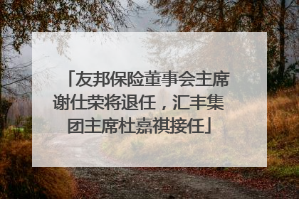 友邦保险董事会主席谢仕荣将退任，汇丰集团主席杜嘉祺接任