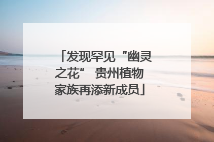 发现罕见“幽灵之花” 贵州植物家族再添新成员