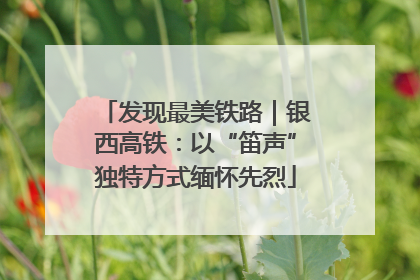 发现最美铁路｜银西高铁：以“笛声”独特方式缅怀先烈