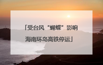 受台风“蝴蝶”影响 海南环岛高铁停运