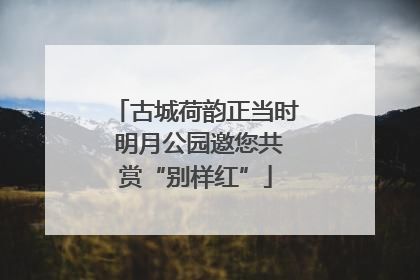古城荷韵正当时 明月公园邀您共赏“别样红”