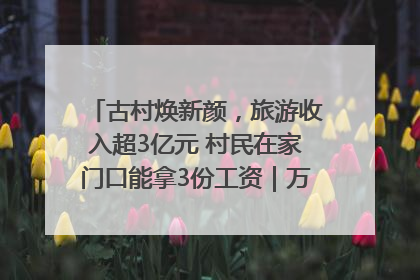古村焕新颜，旅游收入超3亿元 村民在家门口能拿3份工资｜万千气象看四川