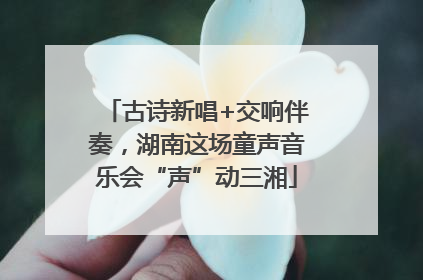 古诗新唱+交响伴奏，湖南这场童声音乐会“声”动三湘