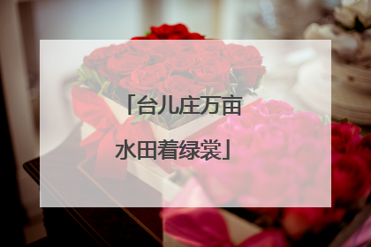 台儿庄万亩水田着绿裳
