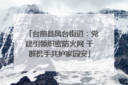 台前县凤台街道：党建引领织密防火网 干群携手共护家园安