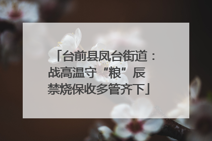 台前县凤台街道：战高温守“粮”辰 禁烧保收多管齐下