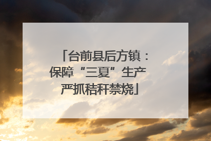 台前县后方镇：保障“三夏”生产 严抓秸秆禁烧