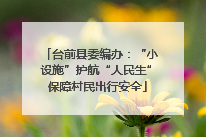 台前县委编办：“小设施”护航“大民生” 保障村民出行安全