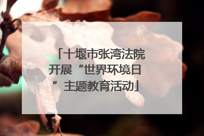 十堰市张湾法院开展“世界环境日”主题教育活动
