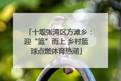 十堰张湾区方滩乡：迎“篮”而上 乡村篮球点燃体育热潮