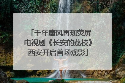 千年唐风再现荧屏 电视剧《长安的荔枝》西安开启首场观影