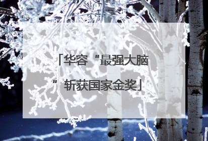 华容“最强大脑”斩获国家金奖