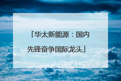 华太新能源：国内先锋奋争国际龙头
