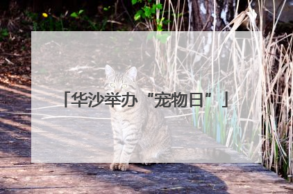 华沙举办“宠物日”