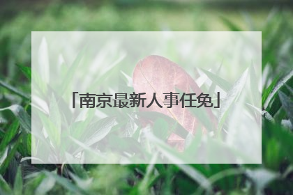 南京最新人事任免