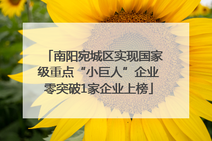 南阳宛城区实现国家级重点“小巨人”企业零突破1家企业上榜