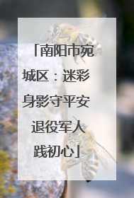 南阳市宛城区：迷彩身影守平安 退役军人践初心