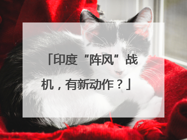 印度“阵风”战机，有新动作？