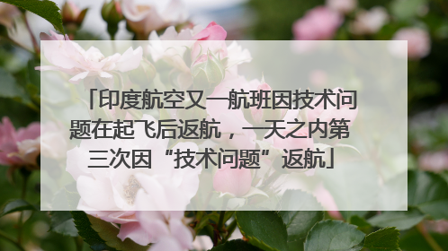 印度航空又一航班因技术问题在起飞后返航，一天之内第三次因“技术问题”返航