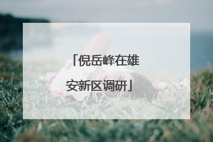 倪岳峰在雄安新区调研