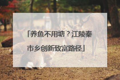 养鱼不用塘？江陵秦市乡创新致富路径