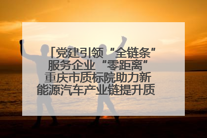 党建引领“全链条” 服务企业“零距离” 重庆市质标院助力新能源汽车产业链提升质量管理水平