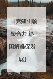 党建引领聚合力 纾困解难促发展
