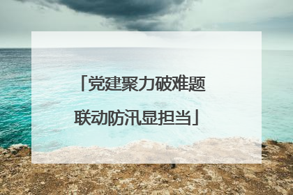 党建聚力破难题 联动防汛显担当