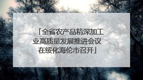 全省农产品精深加工业高质量发展推进会议在绥化海伦市召开