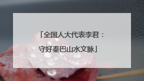 全国人大代表李君：守好秦巴山水文脉