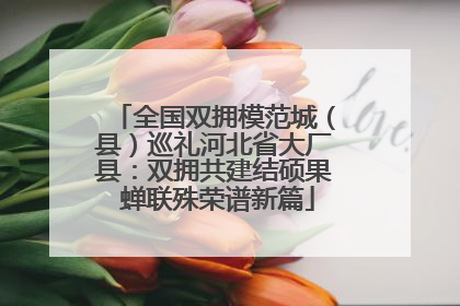 全国双拥模范城（县）巡礼河北省大厂县：双拥共建结硕果 蝉联殊荣谱新篇