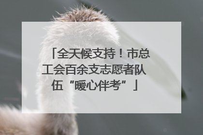 全天候支持！市总工会百余支志愿者队伍“暖心伴考”